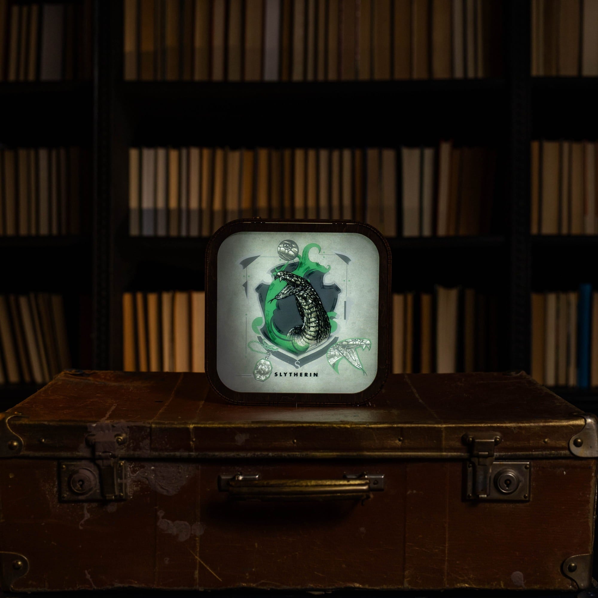 Wooden Acrylic Harry Potter Night Light - Serpent of Slytherin by Enjoy The Wood