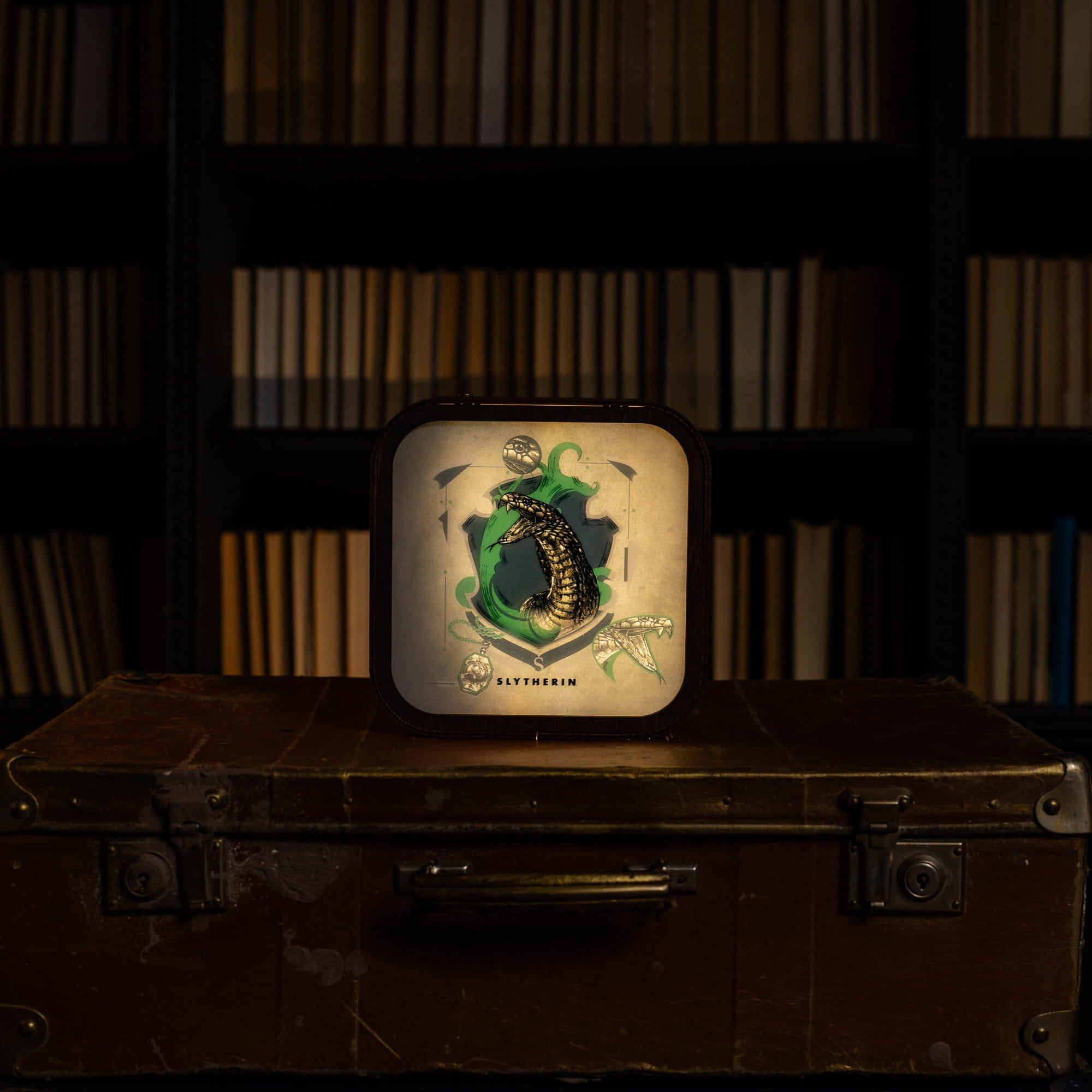 Wooden Acrylic Harry Potter Night Light - Serpent of Slytherin by Enjoy The Wood